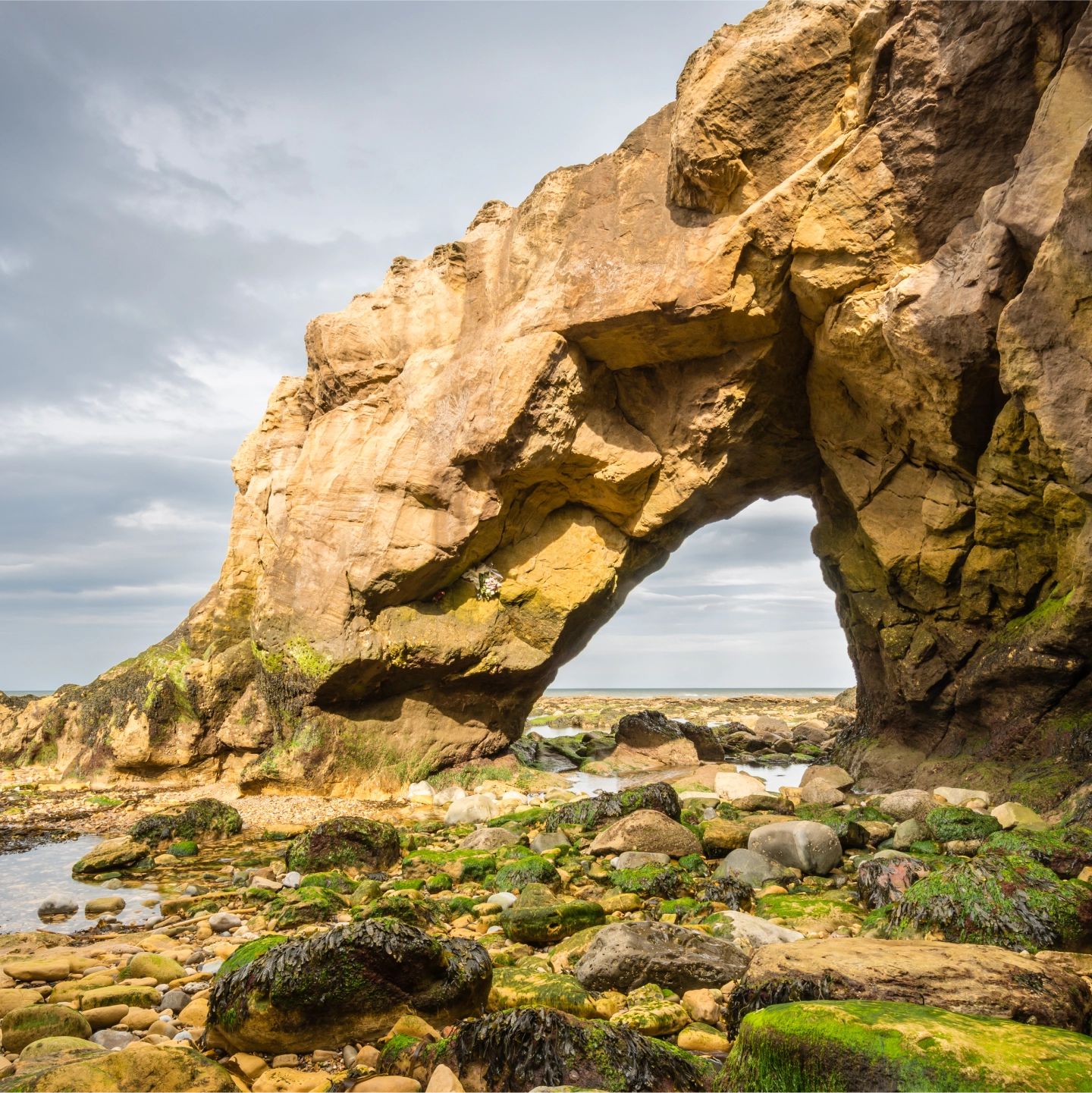 Death Notices North Shields, WhitleyBay, Newcastle - Turnbull Funeral Director