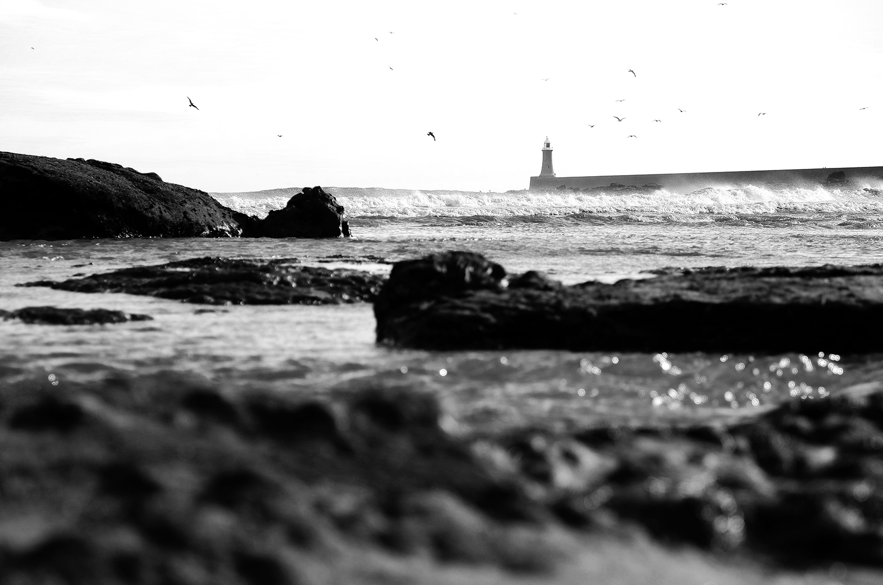 Scattering ashes Funeral Directors North Shields