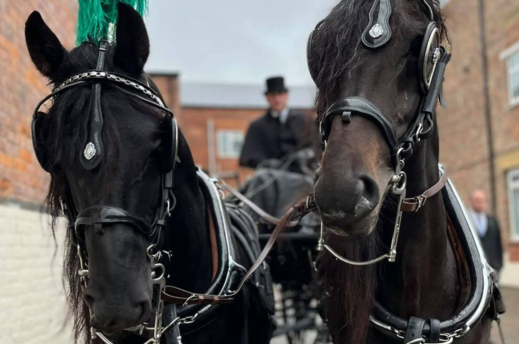 Hearse and Limousines Funeral Directors North Shields